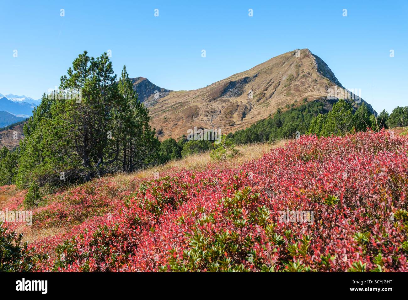 Randonnée d'automne sur la crête de Glaubenberg à Rickhubel et Fürstein, Suisse, octobre doré Banque D'Images