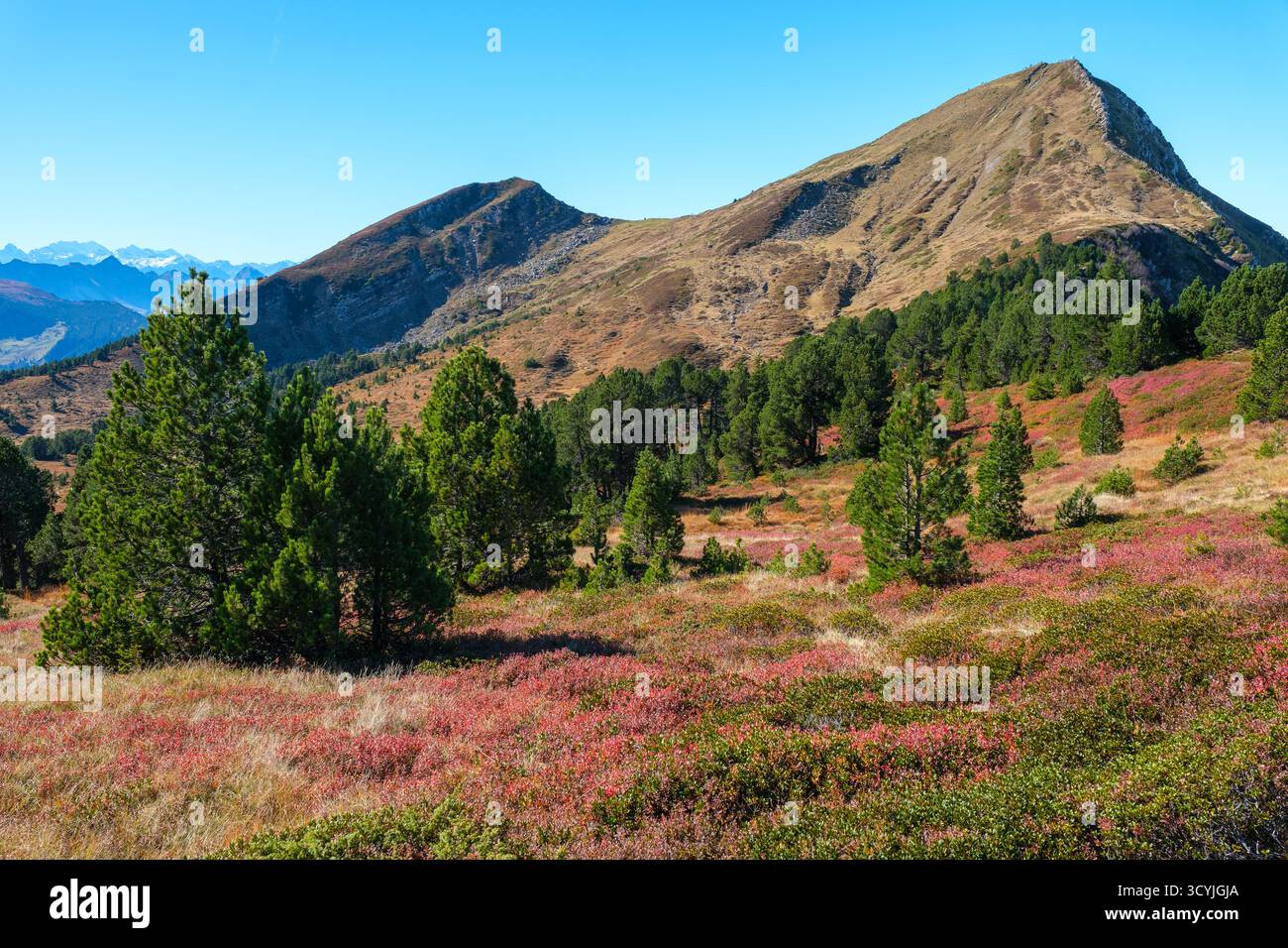 Randonnée d'automne sur la crête de Glaubenberg à Rickhubel et Fürstein, Suisse, octobre doré Banque D'Images
