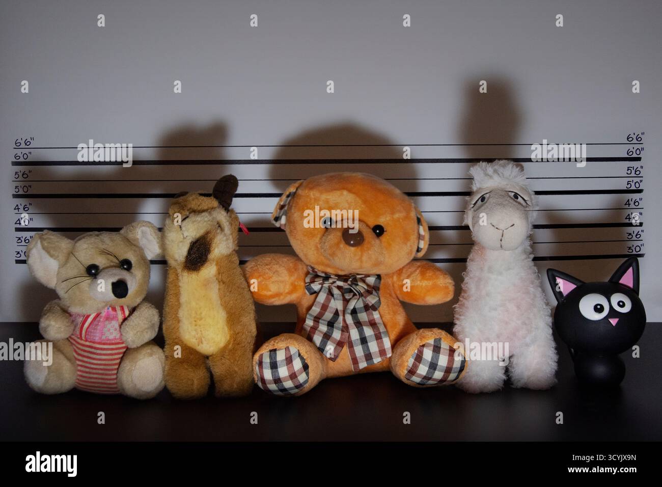 Divers jouets en peluche dans une gamme Banque D'Images