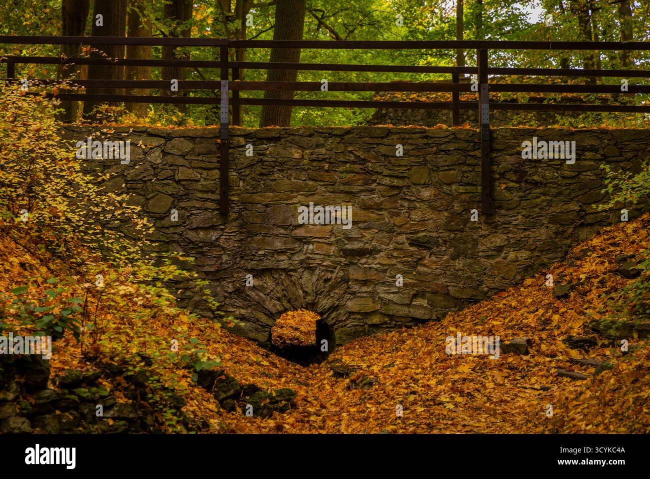 Klosterpark Altzella im Herbst Das Kloster Altzella ist eine ehemalige Zisterzienserabtei westlich der Stadt Nossen. IM Mittelalter gehörte es zu den bedeutendsten Klöstern des mitteldeutschen Raums. DAS Kloster wurde infolge der Reformation aufgelös, die Anlage ist mit ihrer teilweise noch gut erhaltenen Mauer inzwischen eine Mischung aus romantischem Park mit Ruinen und renovierten Gebäuden. Die reste des Klosters stehen seit den 1970er Jahren unter Denkmalsschutz. Nossen Sachsen Deutschland *** Parc du monastère d'Altzella en automne le monastère d'Altzella est une ancienne abbaye cistercienne à l'ouest de la remorque Banque D'Images