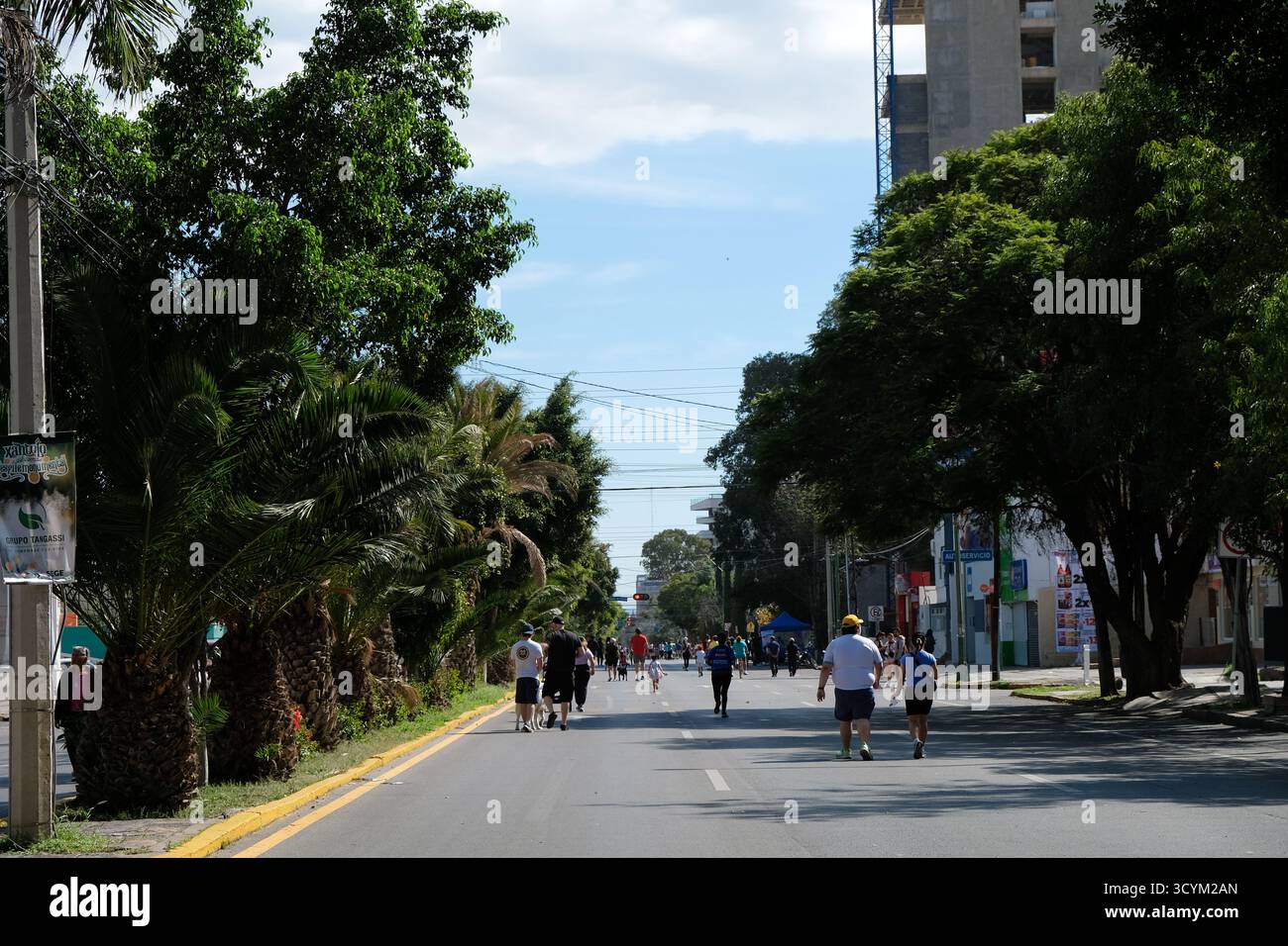 Tous les dimanches Avenida Carranza à San Luis Potosi, Mexique, est fermée à la circulation permettant aux joggeurs, promeneurs et amateurs de chiens de profiter de la marche. Banque D'Images