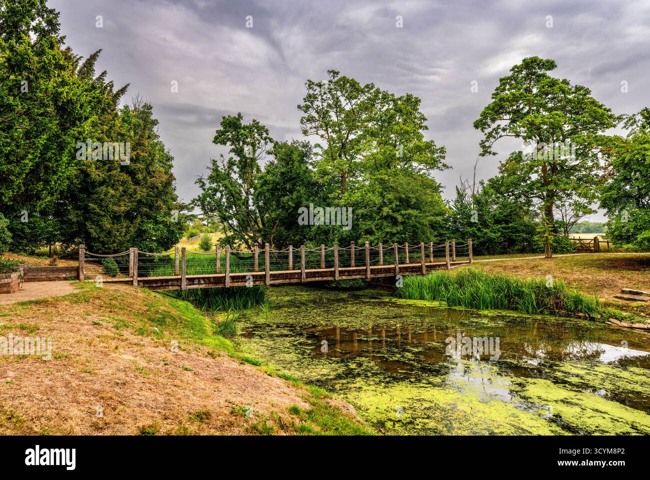 Paisible campagne Pont en bois sur un petit étang avec des algues vertes et des arbres sous ciel nuageux Banque D'Images