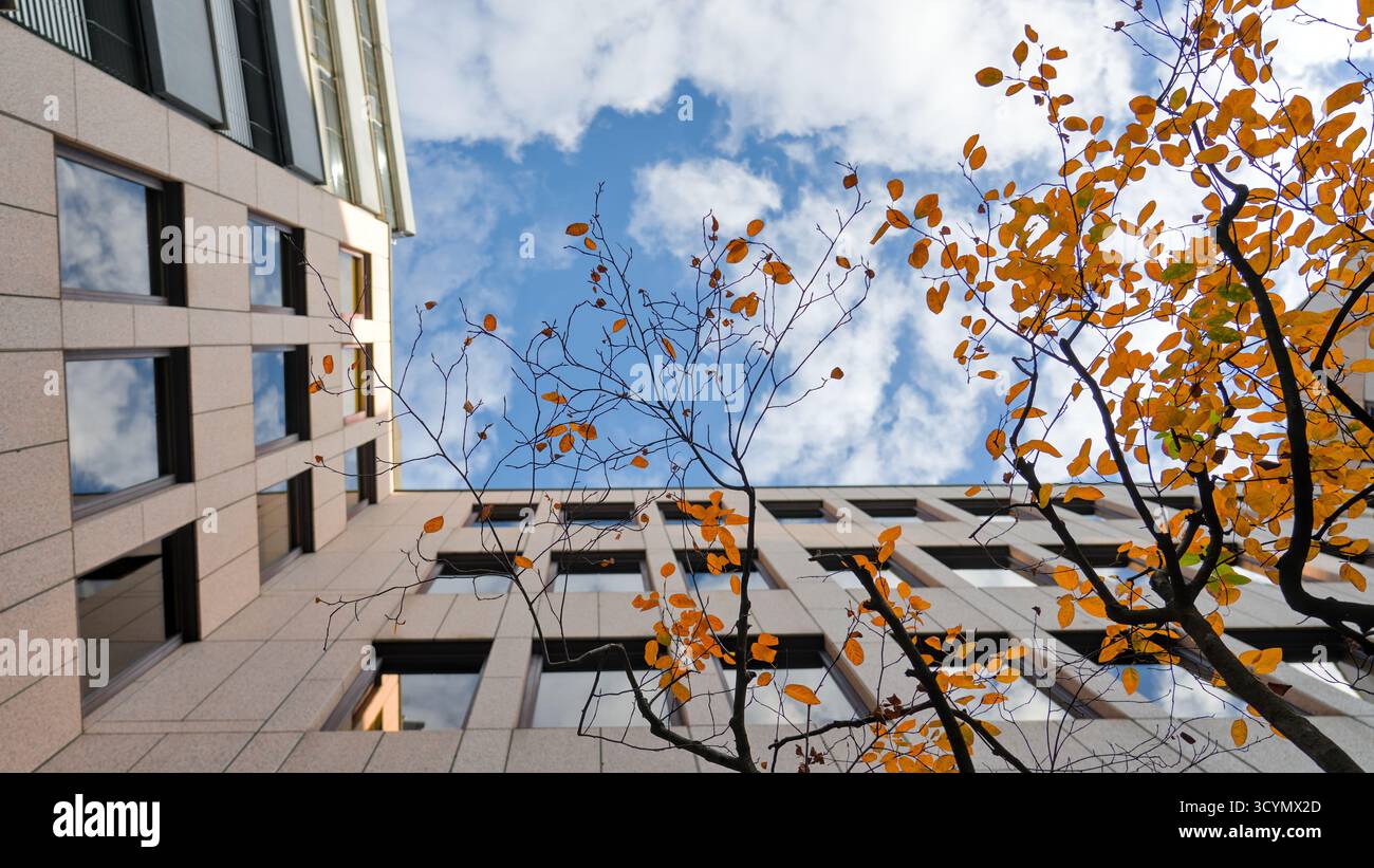 Architecture urbaine moderne avec détails automnaux, alliant design urbain contemporain et couleurs saisonnières. Banque D'Images