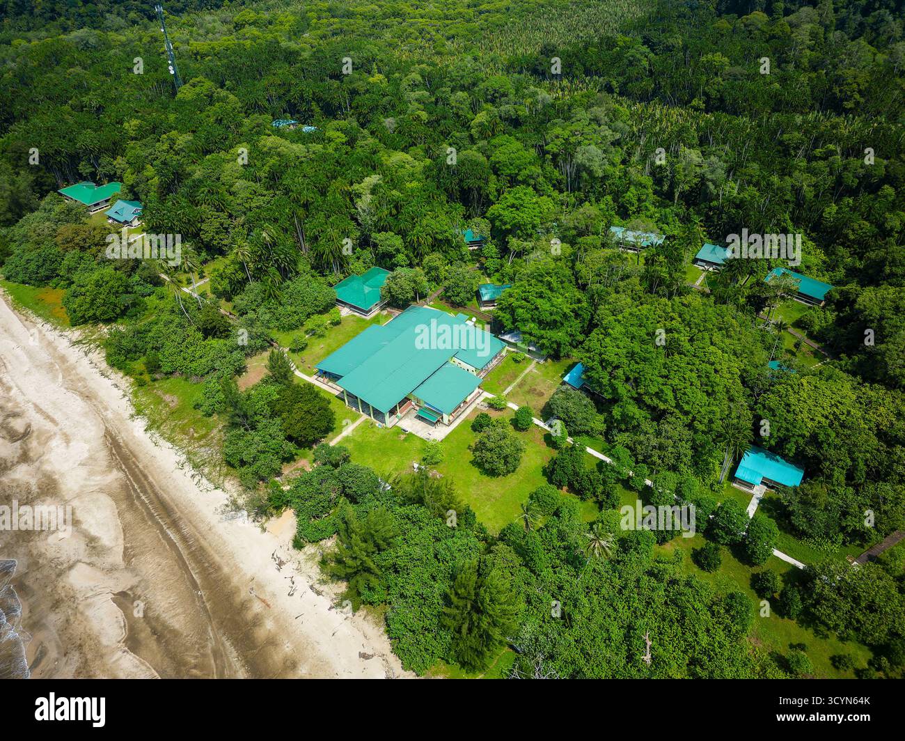 Vue en angle élevé sur la côte de la jungle et hébergement dans le parc national de Bako Banque D'Images