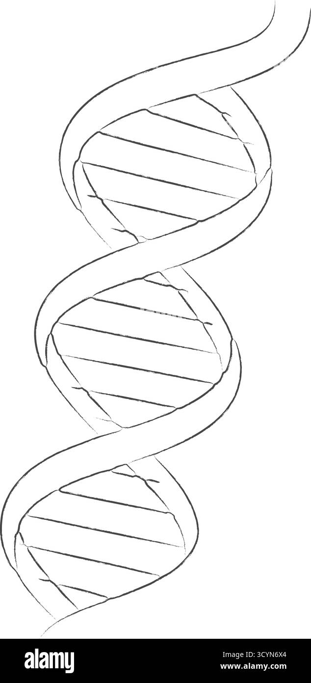 Une échelle torsadée comme un ruban représente le code génétique avec des échelons reliant les deux épines dorsales en spirale en lignes monochromes Illustration de Vecteur