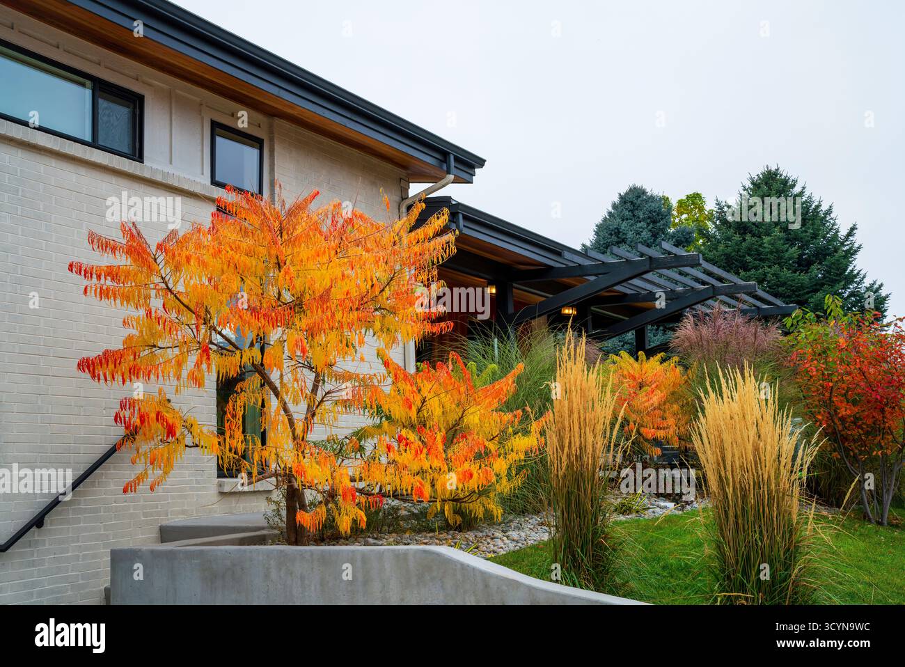 Les arbustes colorés de Sumac yeux de tigre et d'autres variétés de plantes et d'arbres ajoutent à la beauté d'une maison moderne joliment aménagée en automne ou en automne. Banque D'Images