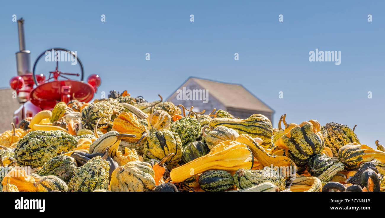 wagon plein de gourdes à un stand de ferme de moulin à eau Banque D'Images