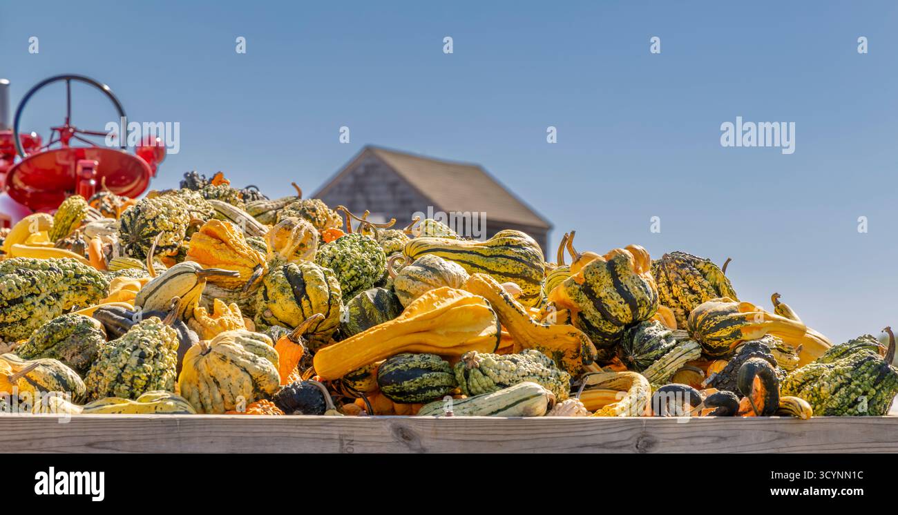 wagon plein de gourdes à un stand de ferme de moulin à eau Banque D'Images