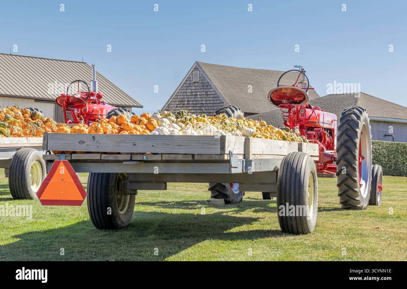wagon plein de gourdes à un stand de ferme de moulin à eau Banque D'Images