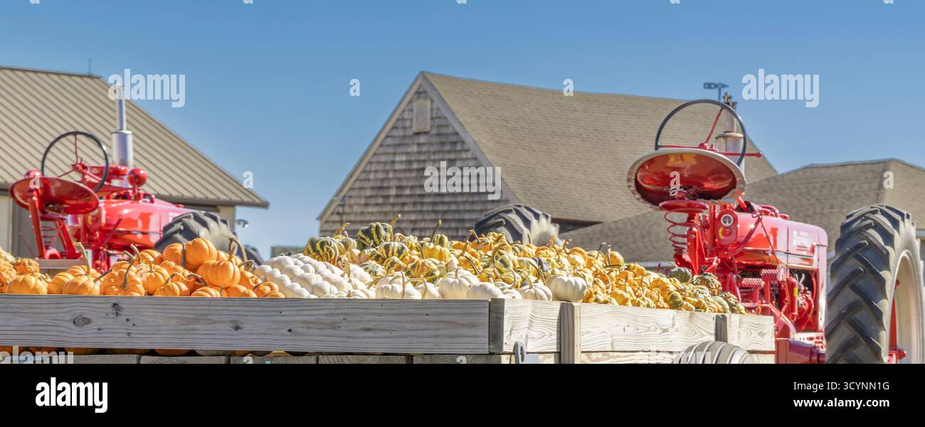 wagon plein de gourdes à un stand de ferme de moulin à eau Banque D'Images