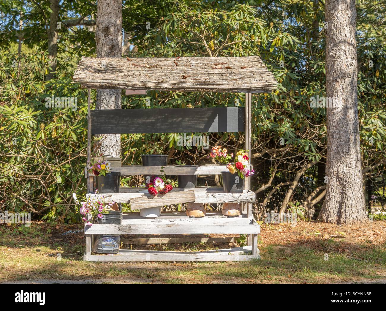 ancien stand de ferme vendant des fleurs coupées fraîches à southampton, ny Banque D'Images
