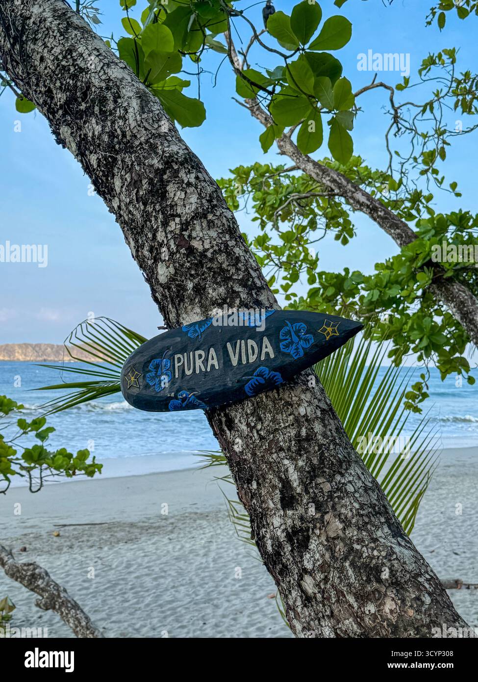 Pura Vida signe sur un arbre à la plage, Costa Rica Pacific Coast - Image de stock capturée avec un smartphone