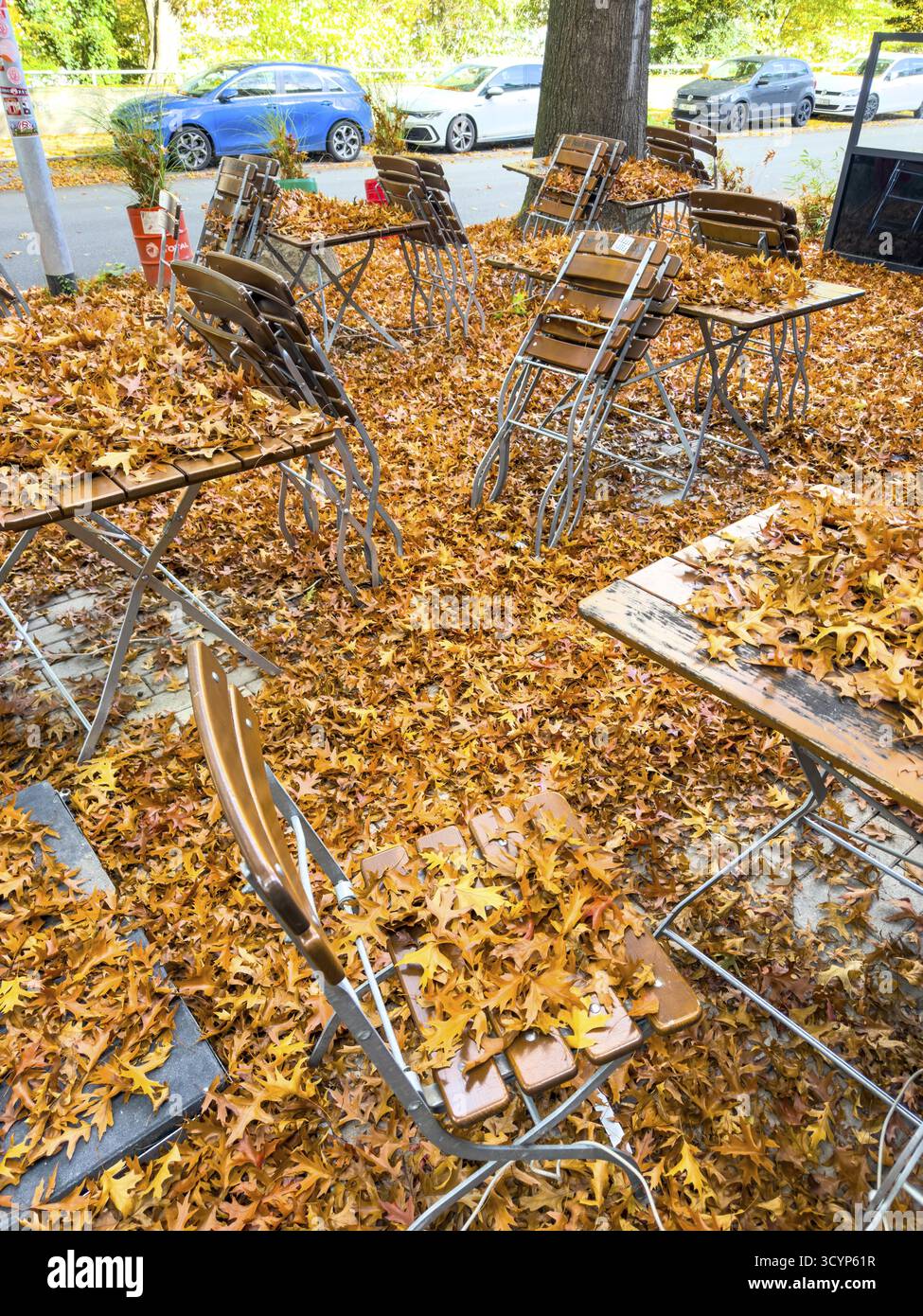 Automne en ville, café en plein air, terrasse de pub sous les arbres à feuilles caduques, chêne des marais, sol et chaises de table sont couvertes de feuilles mortes, Essen, Rhénanie-du-Nord-W. Banque D'Images Automne en ville, café en plein air, terrasse de pub sous les arbres à feuilles caduques, chêne des marais, sol et chaises de table sont couvertes de feuilles mortes, Essen, Rhénanie-du-Nord-W. Banque D'Images