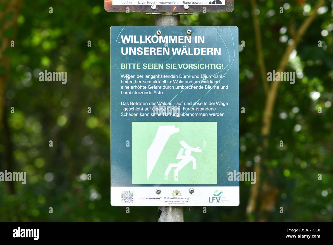 Mannheim, Allemagne - 31 août 2025 : panneau d'avertissement à l'entrée de la forêt de Dossenwald sur le danger de chute d'arbres en raison des dommages causés par la sécheresse et la maladie des arbres Banque D'Images