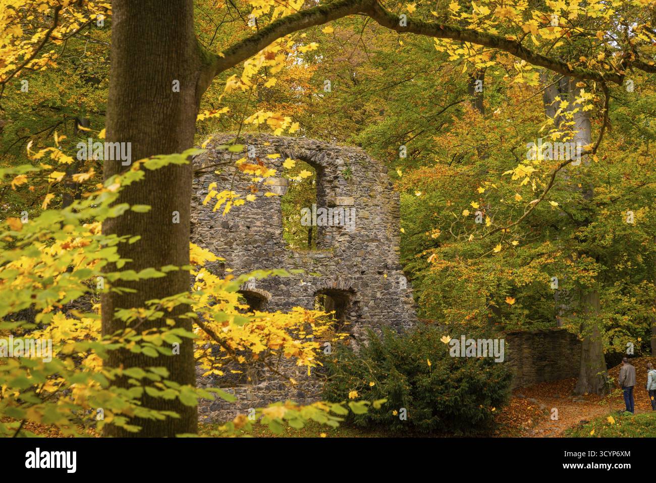 L'abbaye d'Altzella est une ancienne abbaye cistercienne à l'ouest de la ville de Nossen. Au moyen âge, il était l'un des monastères les plus importants de Central Ge Banque D'Images L'abbaye d'Altzella est une ancienne abbaye cistercienne à l'ouest de la ville de Nossen. Au moyen âge, il était l'un des monastères les plus importants de Central Ge Banque D'Images
