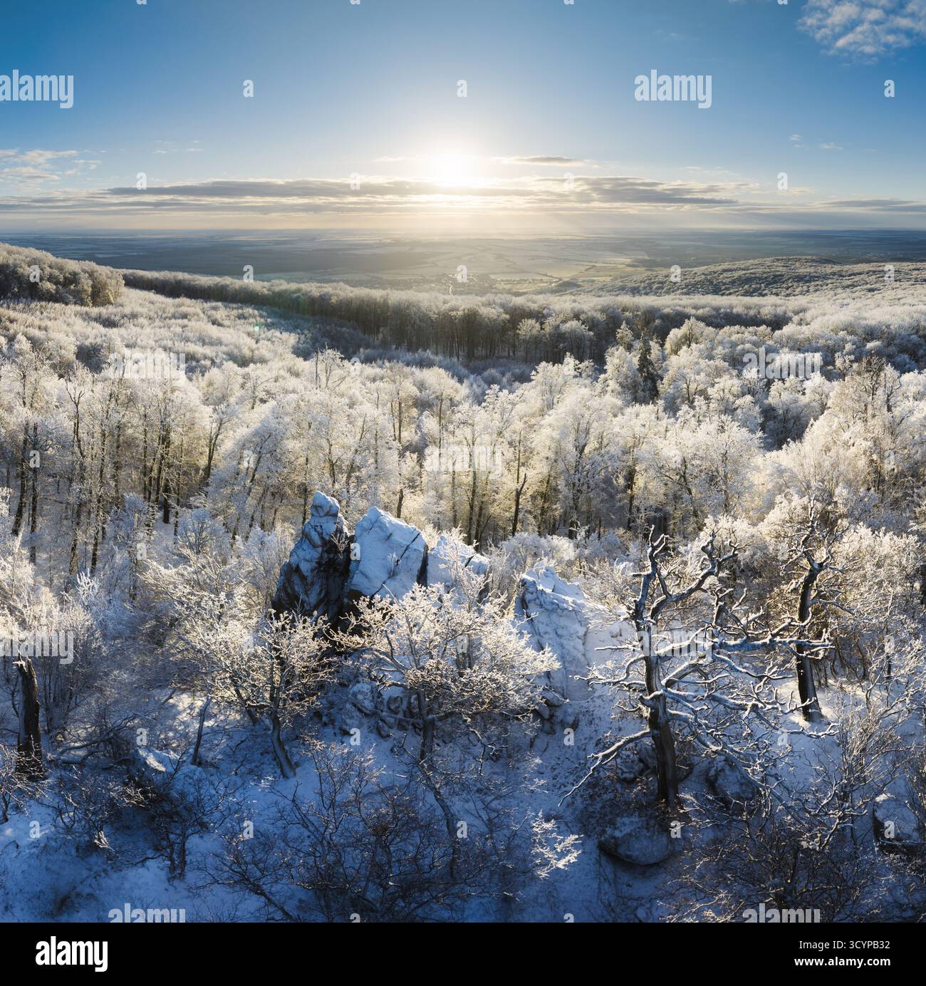 Panorama hiver paysage avec des arbres couverts de forêts, la neige et le lever du soleil. winterly matin d'un jour nouveau. violet paysage d'hiver avec le coucher du soleil, vue panoramique v Banque D'Images
