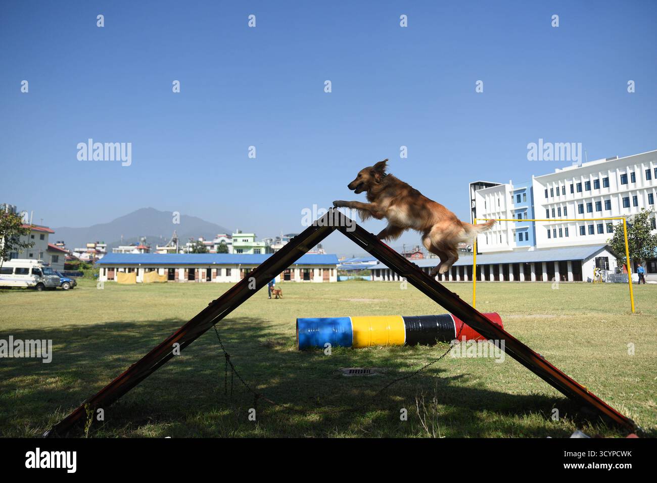 Katmandou, Népal. 20 octobre 2025. Les chiens canins de la police népalaise participent à une compétition de course et d'obstacles lors de la célébration de Kukur Tihar, également connue sous le nom de chien Tihar, à la Division canine de la police népalaise à Katmandou, Népal, le lundi 20 octobre 2025. L’événement met en évidence l’agilité, la discipline et le lien fort des chiens avec leurs maîtres. Photo : Safal Prakash Shrestha crédit : Safal Prakash Shrestha/Alamy Live News Banque D'Images