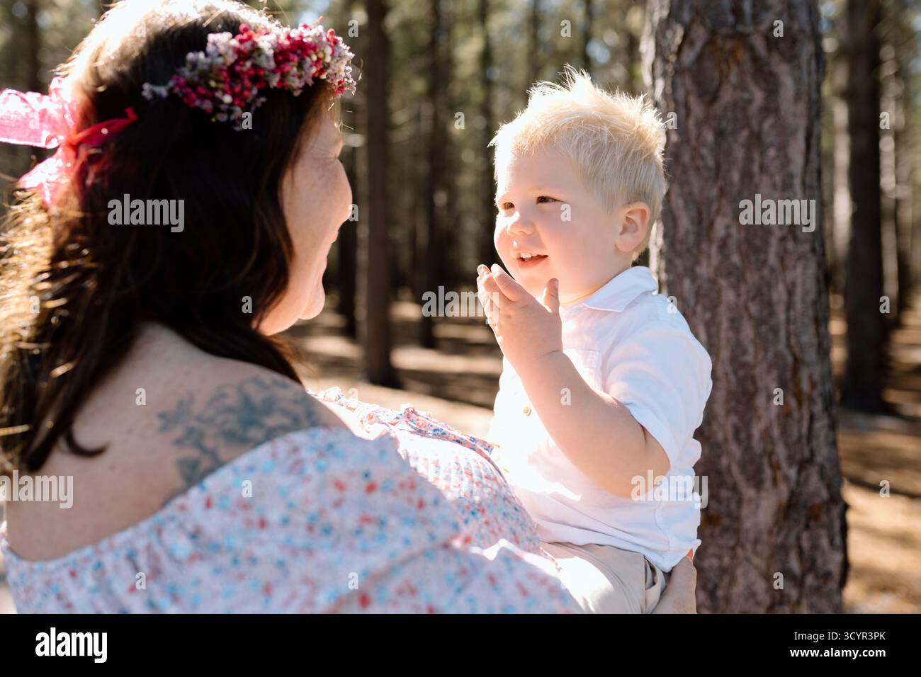 Photos de maternité familiale dans une forêt Banque D'Images