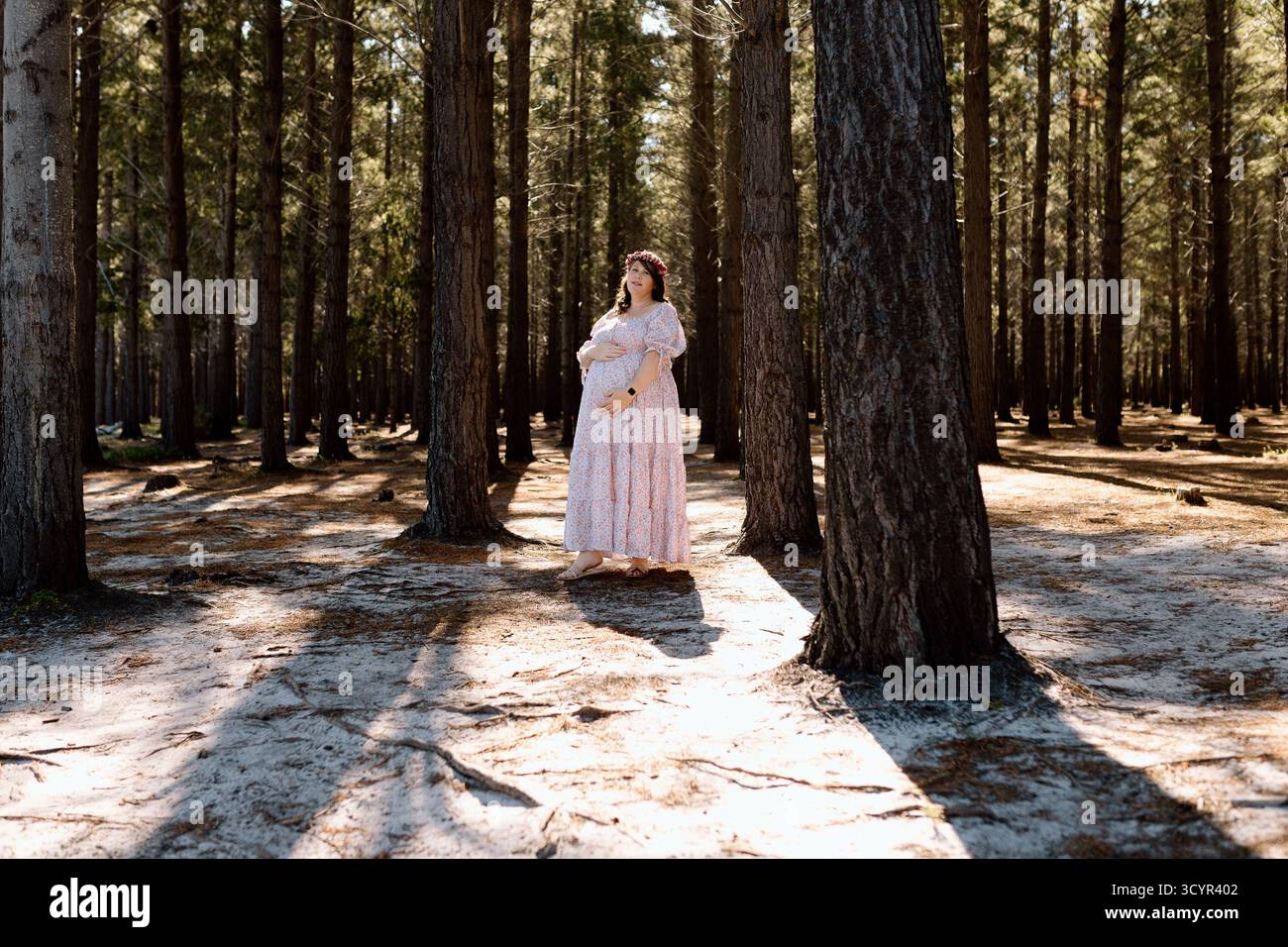 Photos de maternité dans une forêt Banque D'Images
