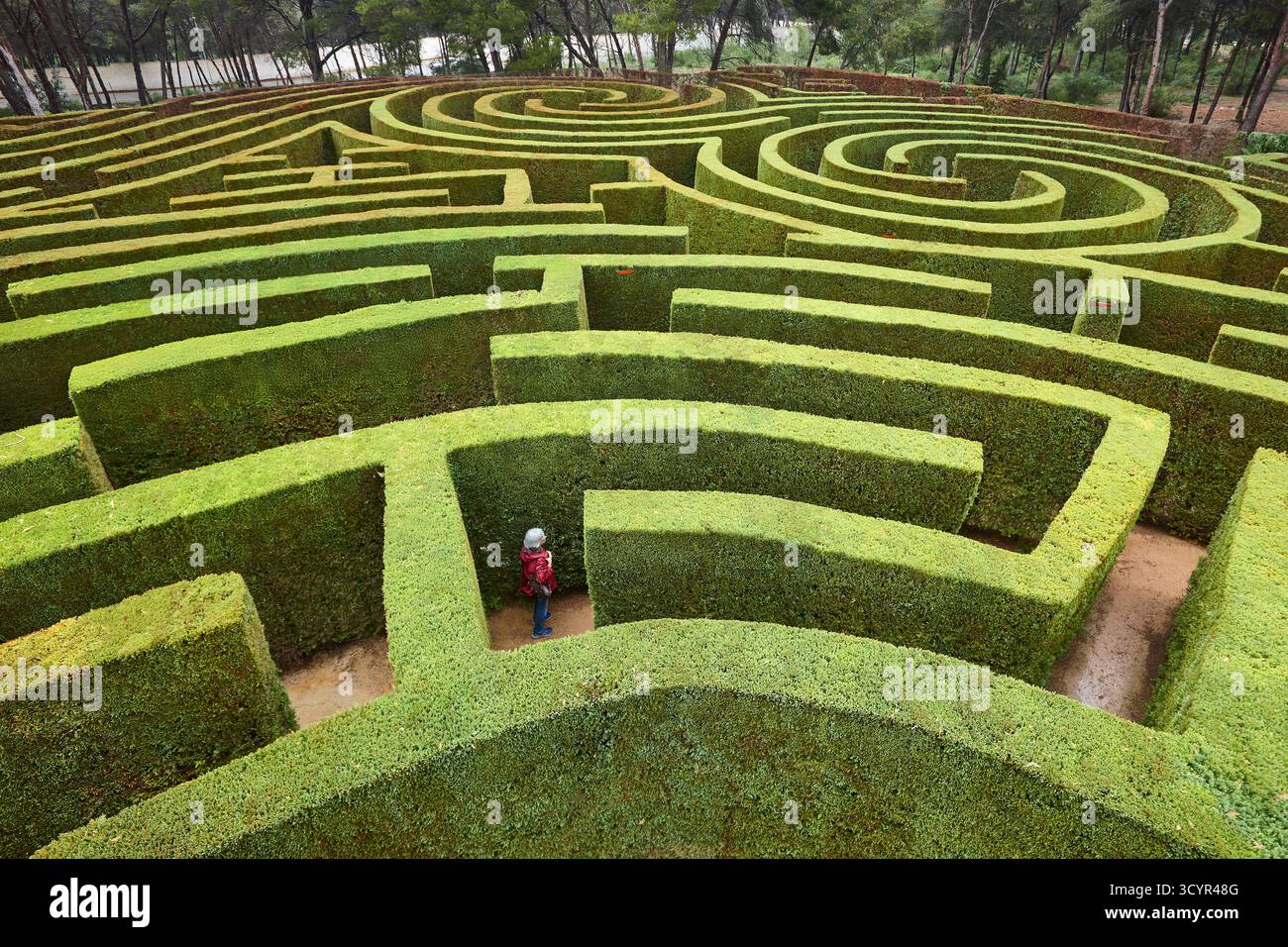 Pittoresque labyrinthe de jardin dans la ville de Carthagène. Parc Tentegorra. Murcie, Espagne Banque D'Images Pittoresque labyrinthe de jardin dans la ville de Carthagène. Parc Tentegorra. Murcie, Espagne Banque D'Images