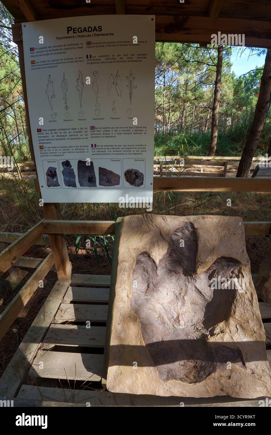 Exposition d'un fossile d'empreinte de dinosaure avec panneau d'information au parc à thème de dinosaures Dino Parque à Lourinhã, Portugal, Europe Banque D'Images