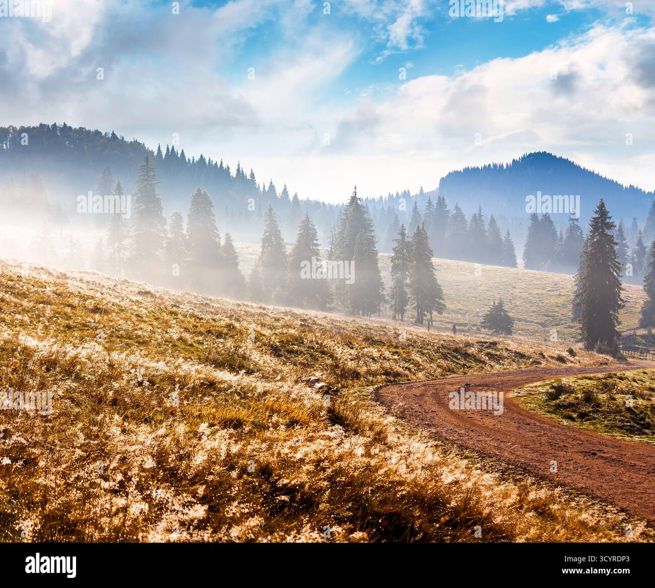 route rurale à travers le paysage de montagne de roumanie en automne au lever du soleil. forêt de conifères sur des collines ondulantes un matin brumeux dans le parc naturel apuseni. bea Banque D'Images