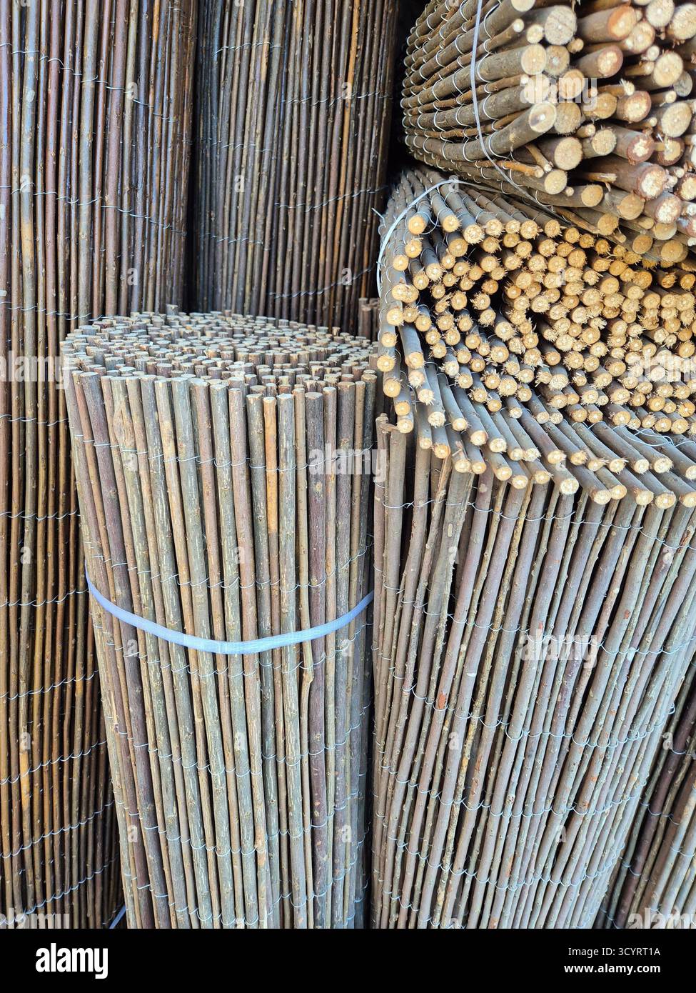 un grand nombre de tiges en bois minces se sont rassemblées en faisceaux Banque D'Images
