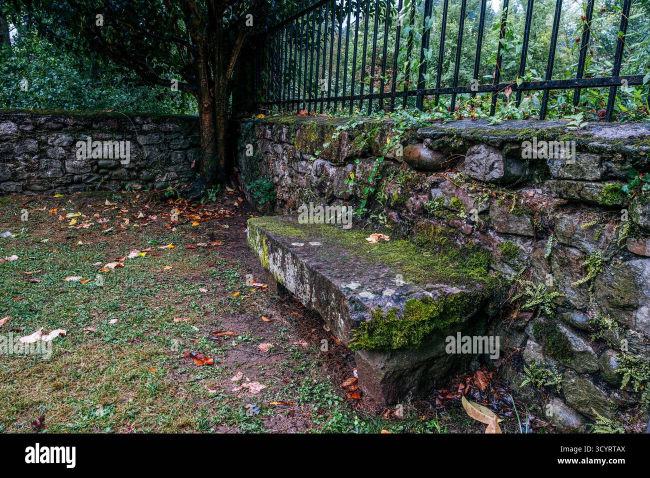Détail rustique d'un banc en pierre et d'un mur recouvert de mousse vert vif et de feuillage à côté d'une clôture en fer forgé. Textures et ambiance Moody Banque D'Images