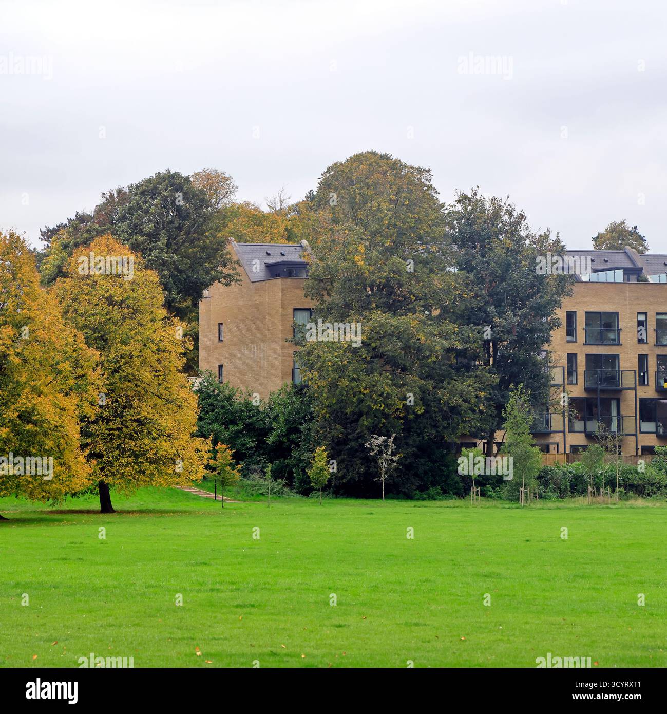 Parc Llandaff Fields, Cardiff. Prise en octobre 2025 Banque D'Images
