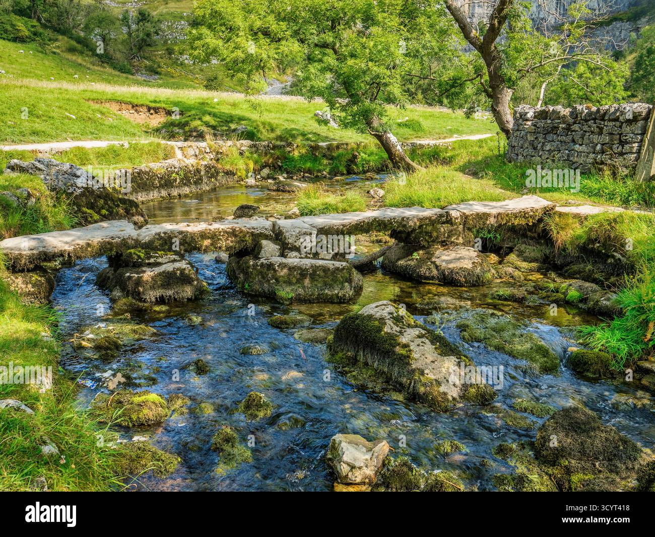 Un pont battant à travers le Malham Beck sur le sentier menant à Malham Cove, dans le parc national des Yorkshire Dales. Banque D'Images