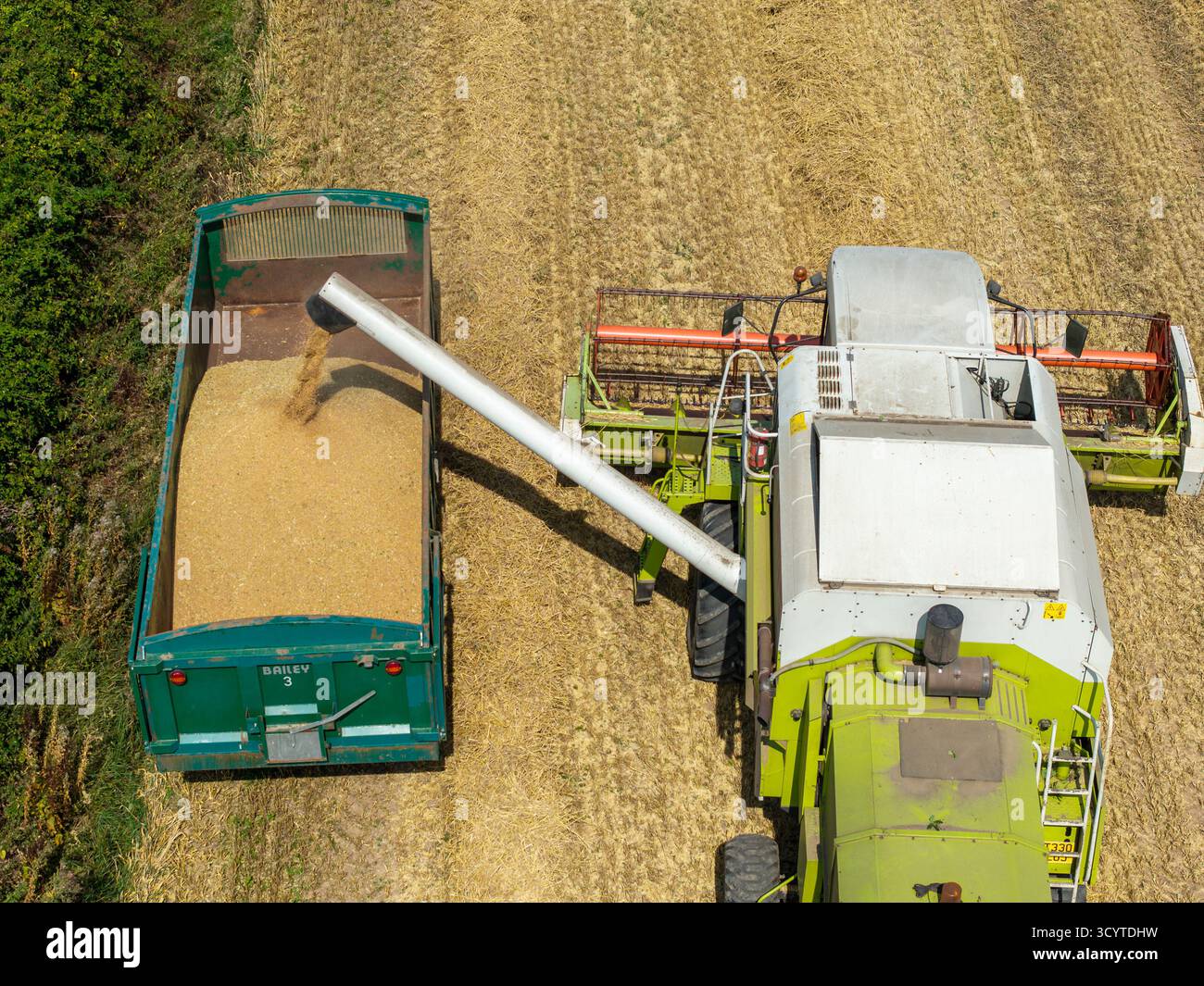 WIRRAL, MERSEYSIDE, ANGLETERRE - 10 AOÛT 2025 : image aérienne d'une moissonneuse-batteuse transportant du grain de blé dans une remorque dans la campagne anglaise, Banque D'Images