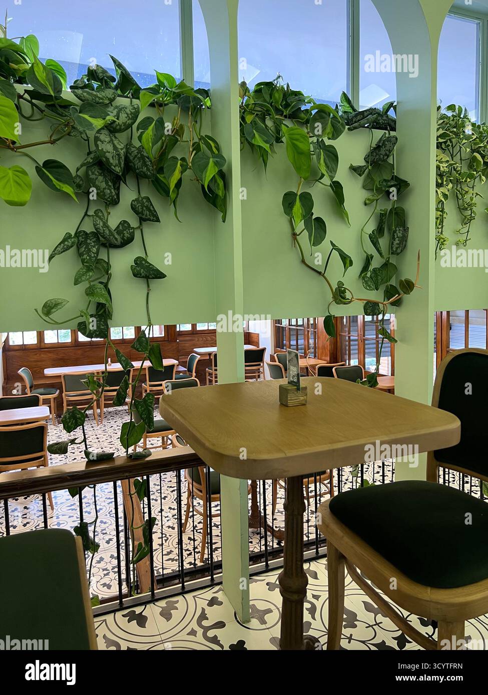 Intérieur de café moderne confortable avec des plantes vertes luxuriantes, lumière naturelle et élégant mobilier en bois à Téhéran. Banque D'Images