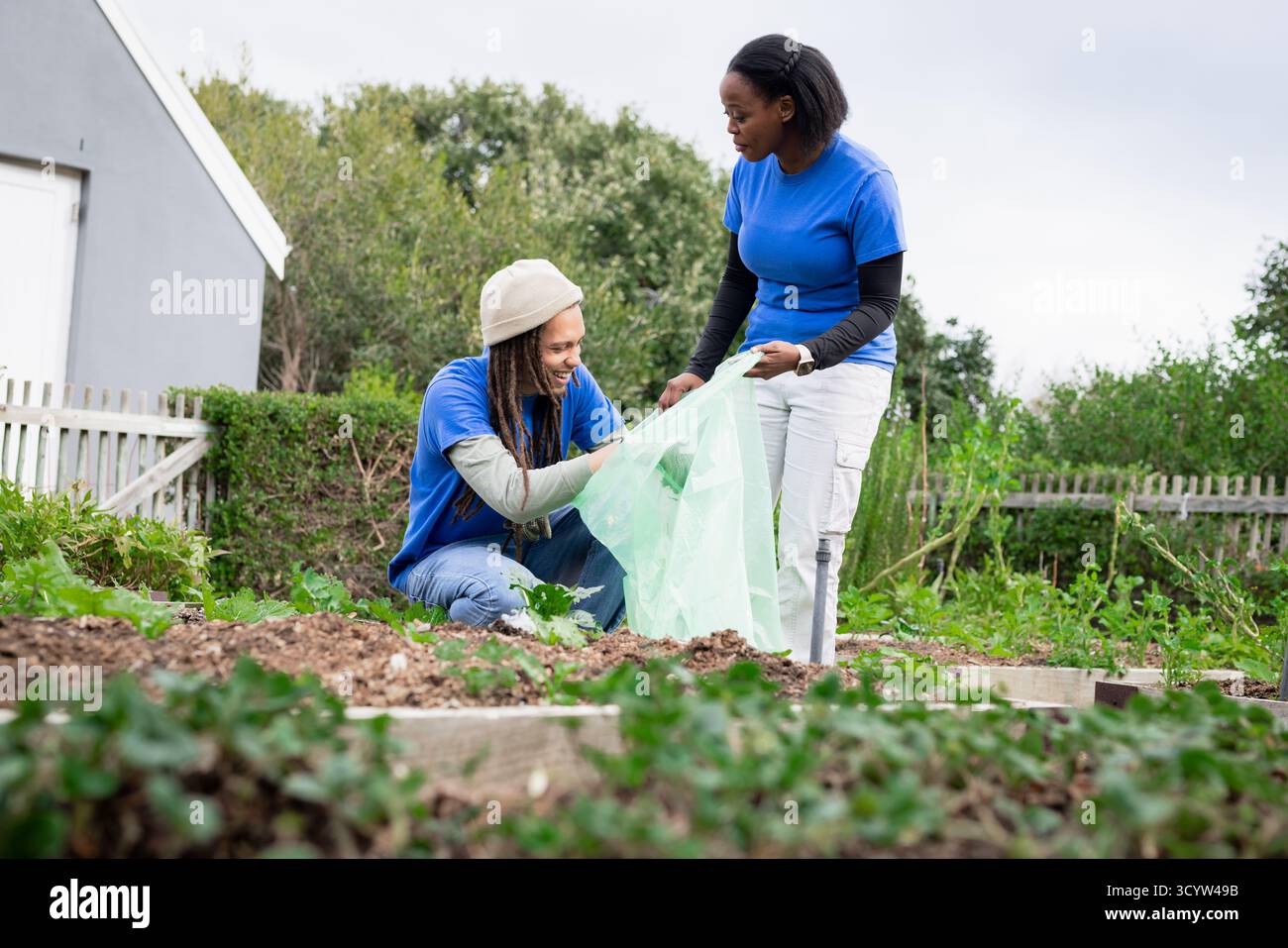 Divers collègues collaborant dans une boîte de jardinière surélevée sur un terrain résidentiel manipulant un sac de jardin vert. Jardinage, travail d'équipe, communauté, durabilité, o Banque D'Images Divers collègues collaborant dans une boîte de jardinière surélevée sur un terrain résidentiel manipulant un sac de jardin vert. Jardinage, travail d'équipe, communauté, durabilité, o Banque D'Images