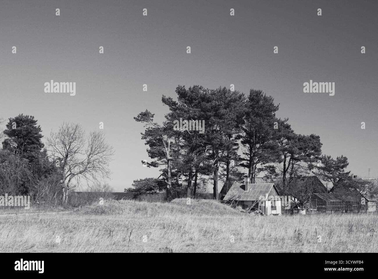 Petite ferme près de la mer, paysage de campagne noir et blanc. Banque D'Images