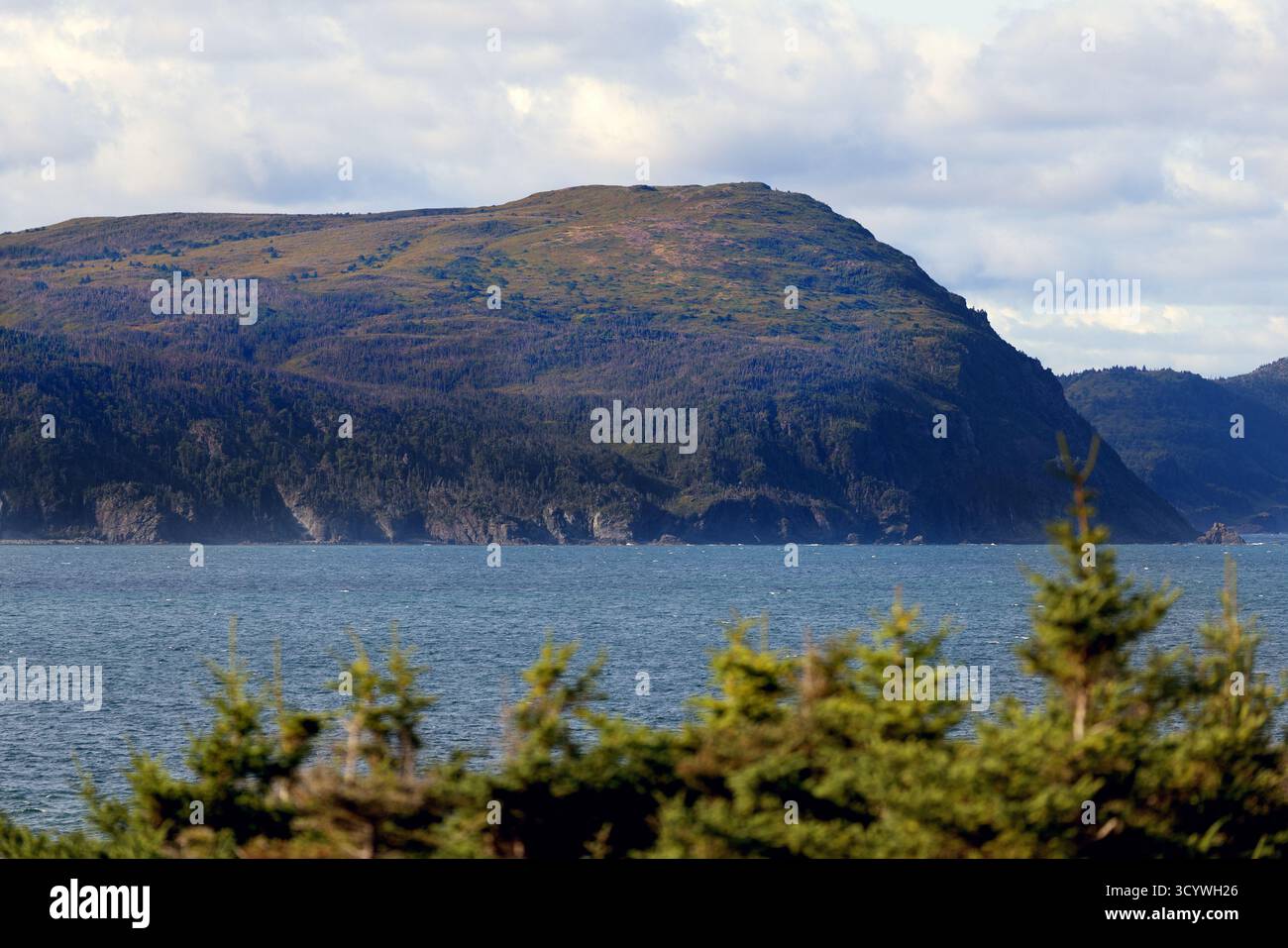 Colline côtière couverte de forêt s'élevant au-dessus de l'océan à Rocky Harbor, Terre-Neuve Banque D'Images