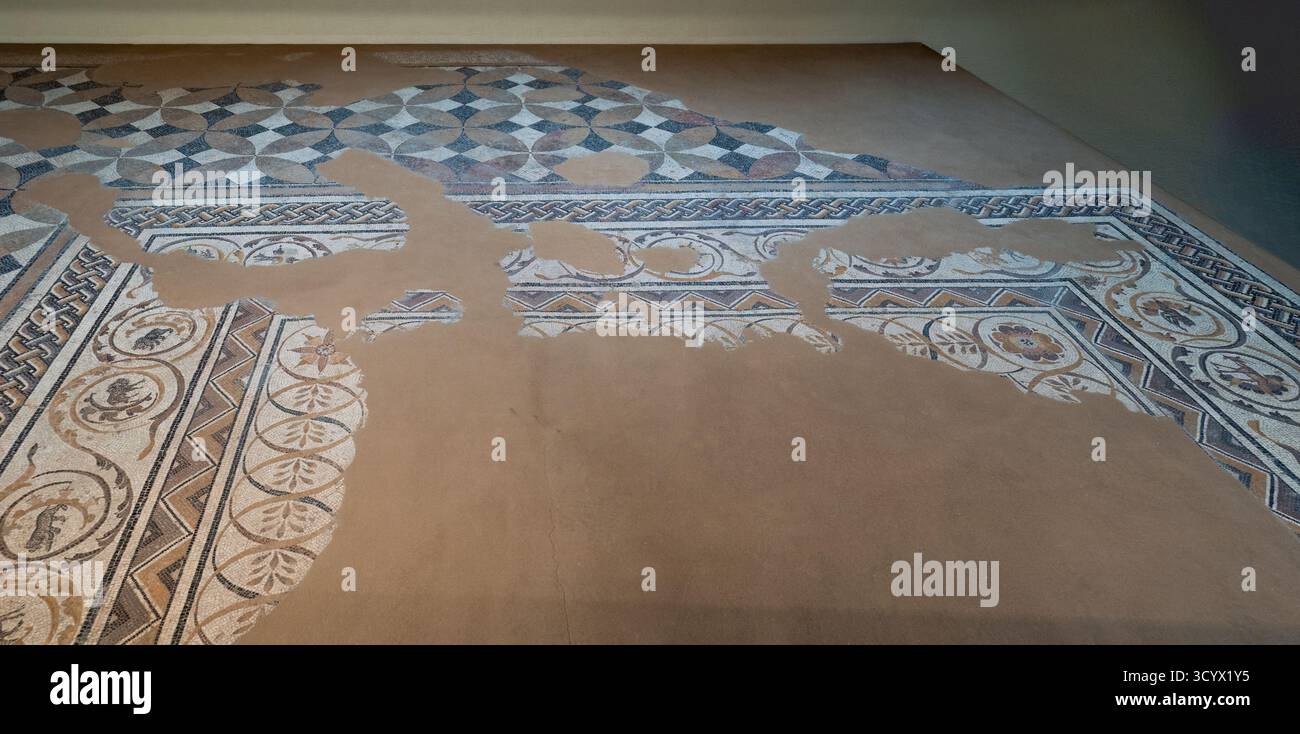 Le Musée Albacete est un endroit pour en apprendre davantage sur l'histoire et la culture de la province. Parc Abelardo Sánchez, Castille-la Manche, Espagne, Europe. Banque D'Images