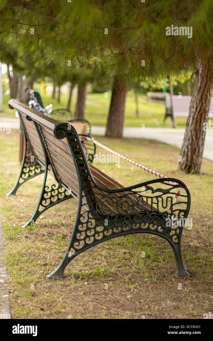 Banc orné avec corde dans le parc. Un banc en bois orné attaché avec une corde blanche sous de grands pins dans un parc, suggérant une fermeture temporaire au milieu d'un gr luxuriant Banque D'Images