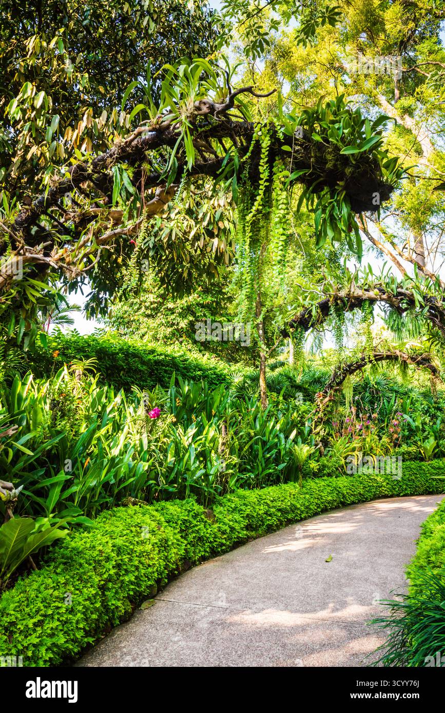 Singapour - 20 octobre 2018 : le jardin botanique de Singapour est le seul jardin tropical à être classé au patrimoine mondial de l'UNESCO. Banque D'Images