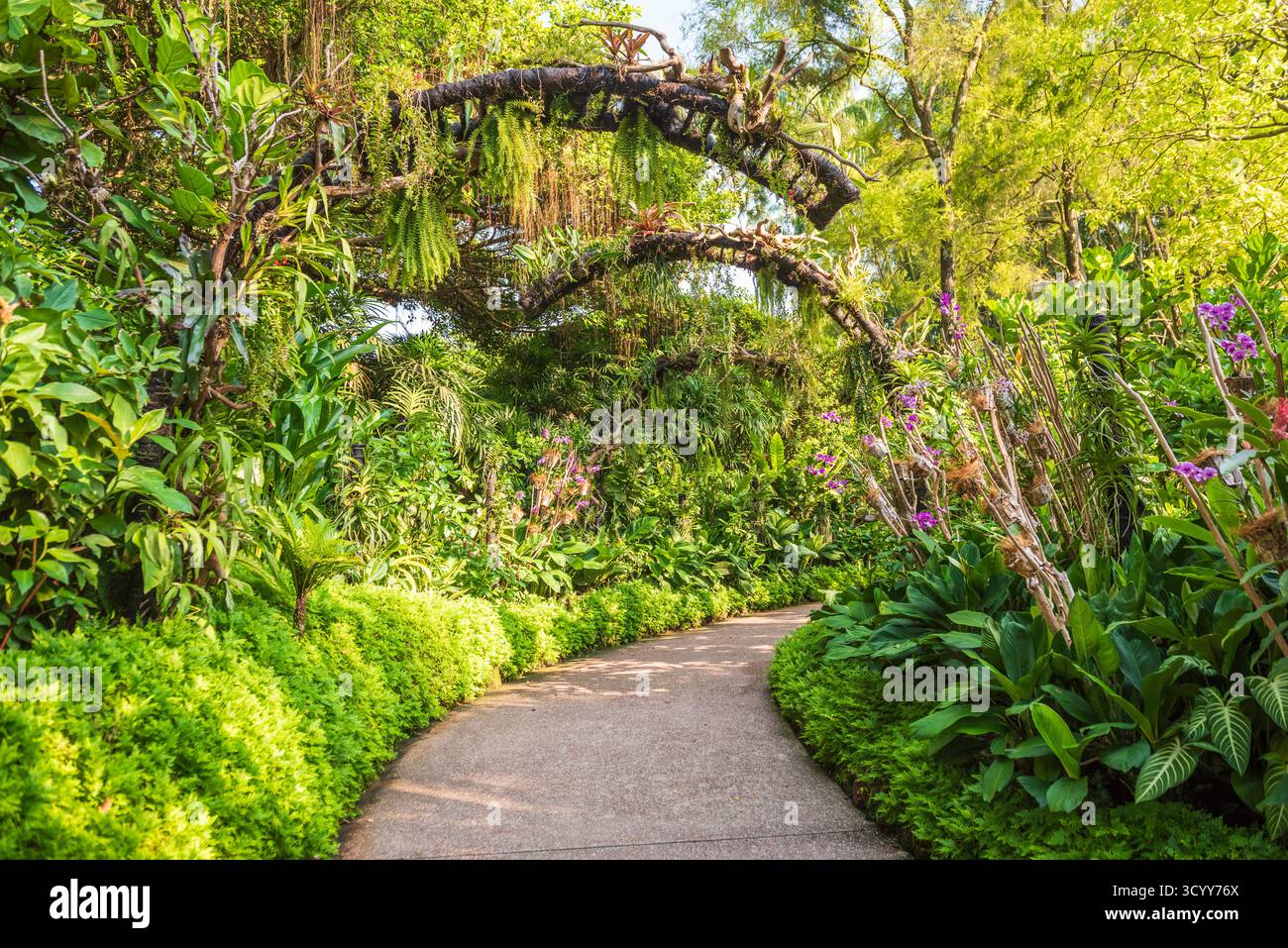 Singapour - 20 octobre 2018 : arches couvertes de broméliades au jardin botanique de Singapour, un site classé au patrimoine mondial de l'UNESCO. Banque D'Images