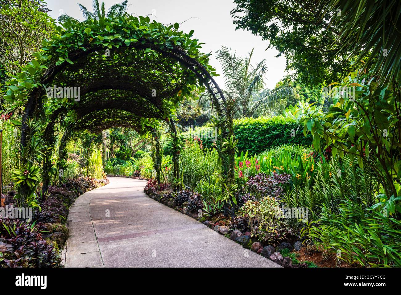 Singapour - 20 octobre 2018 : le chemin couvert d'arcs aux jardins botaniques de Singapour est le seul jardin tropical à être désigné comme hérita mondial de l'UNESCO Banque D'Images