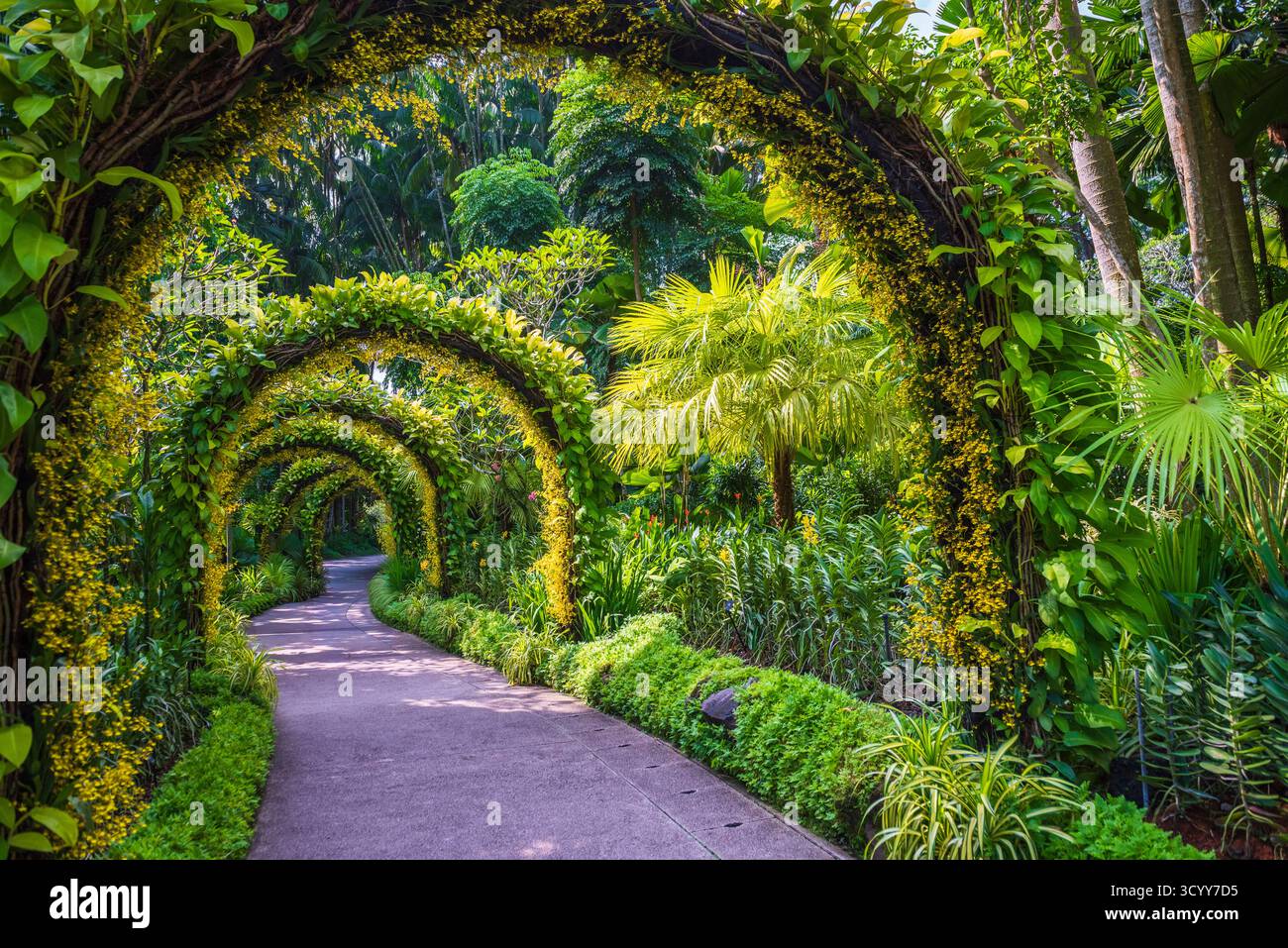 Singapour - 20 octobre 2018 : superbes arches argentées couvertes de plantes à air dans les jardins botaniques de Singapour, le seul jardin tropical à avoir été désigné Banque D'Images