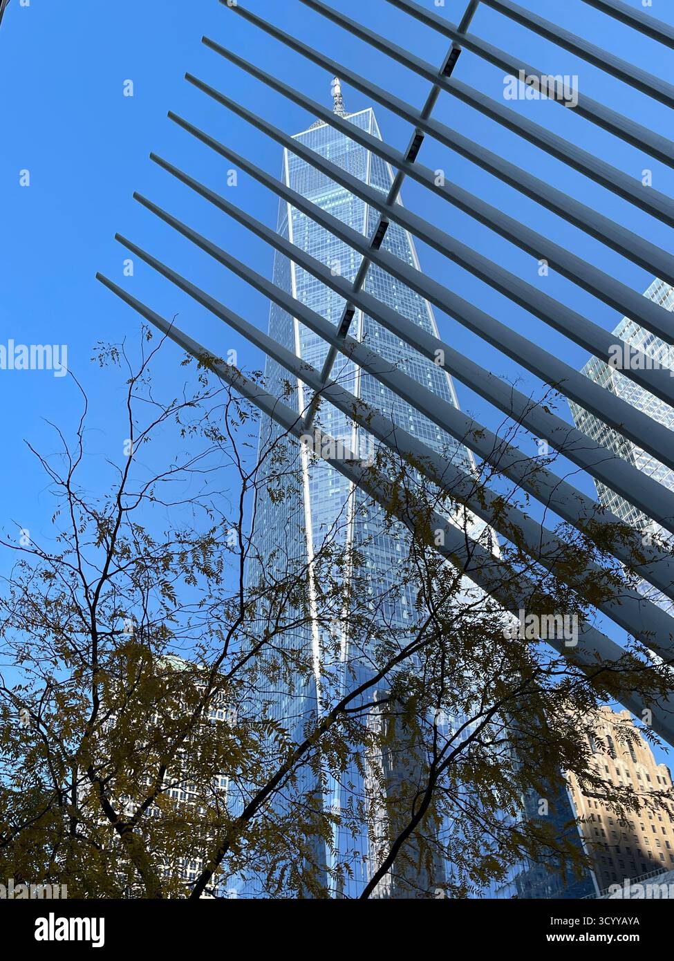 One World Trade Center surplombant les gratte-ciel de Lower Manhattan, New York City, États-Unis. - Image de stock capturée avec un smartphone