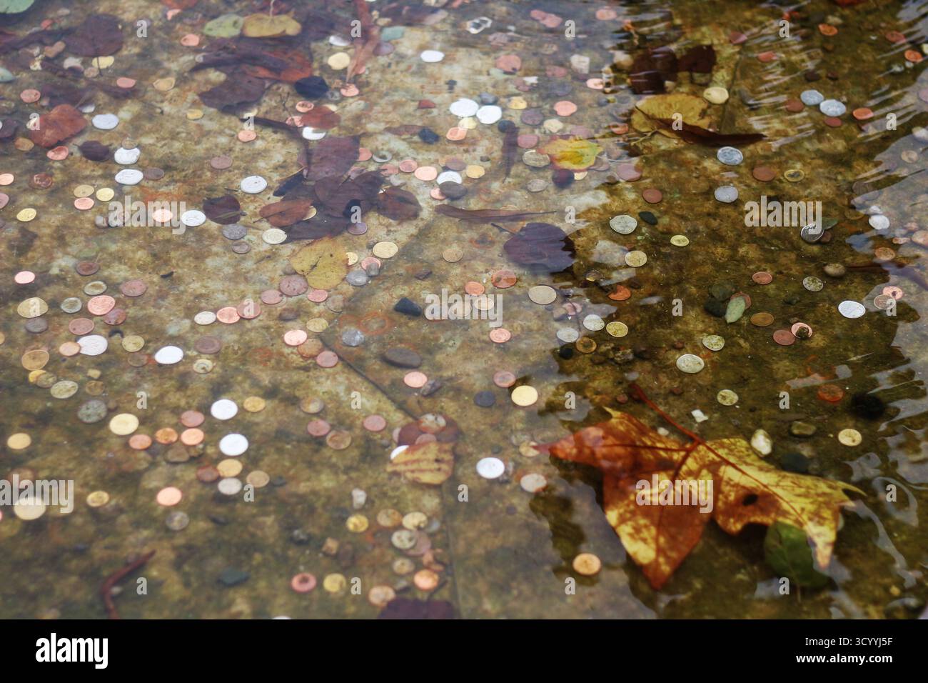 Pièces de monnaie et feuilles d'automne sous l'eau dans une fontaine à souhait Banque D'Images