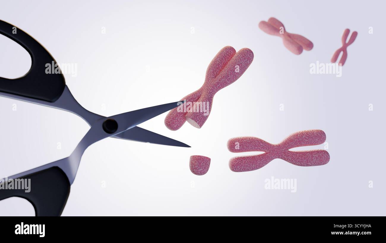 Illustration 3d de ciseaux et de chromosomes coupés en arrière-plan lumineux Banque D'Images