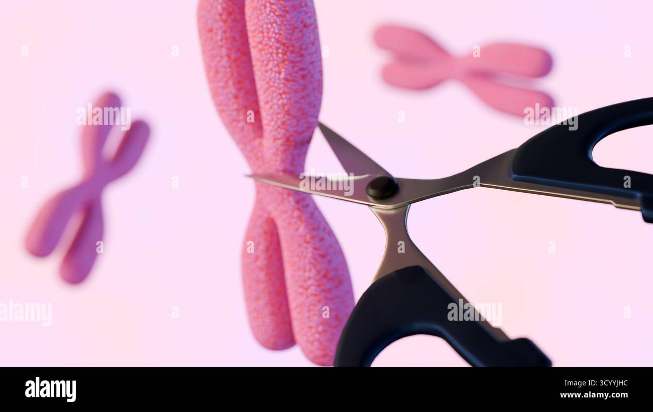 Une illustration 3d de l'édition de gène, montrant un ciseau 'coupant' chromosome Banque D'Images