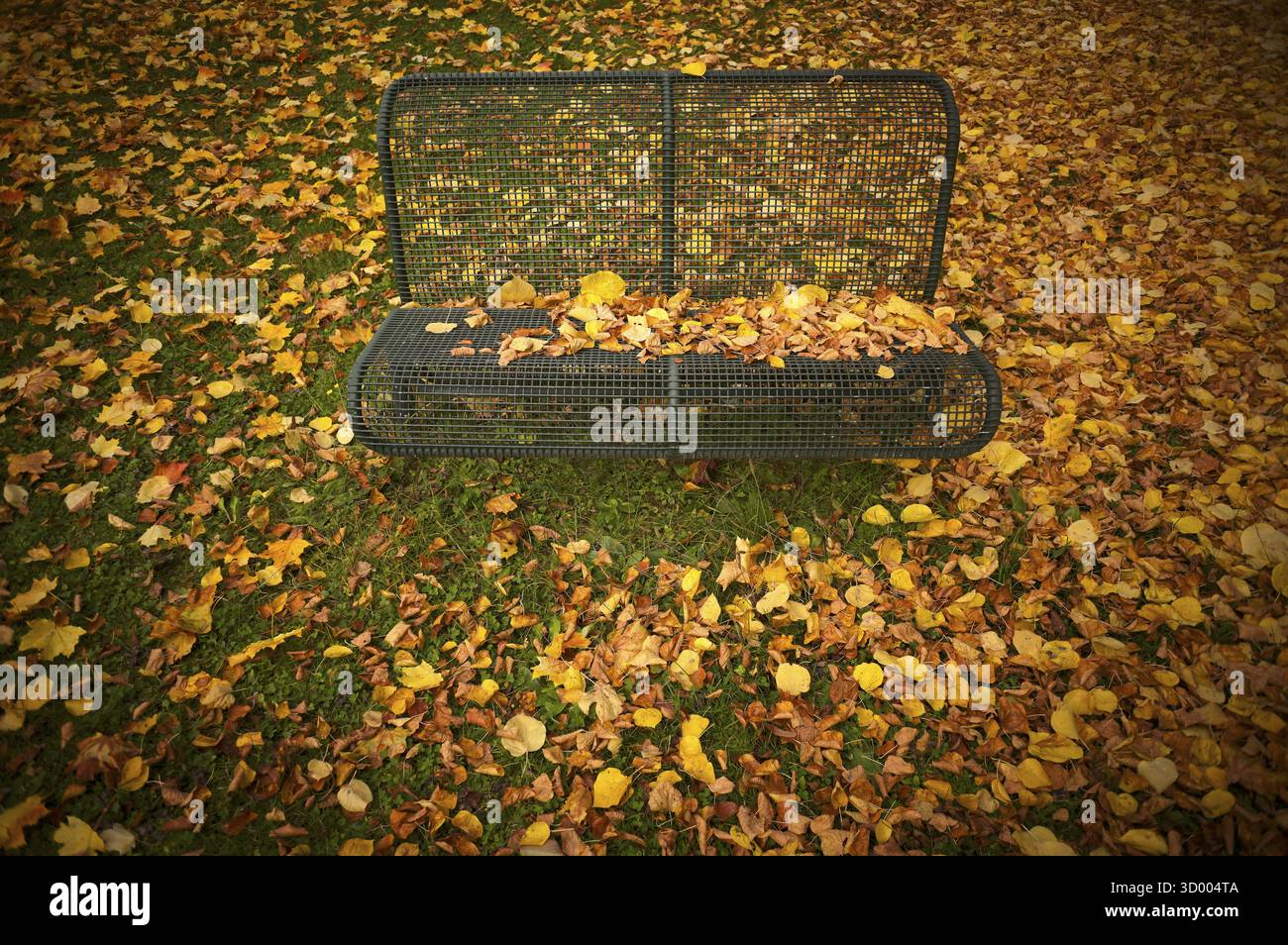 Banc de parc, banc, feuilles pleines d'automne, feuilles, cimetière principal, automne, automne, atmosphère d'automne, Stuttgart, Bade-Wuerttemberg, Allemagne Banque D'Images Banc de parc, banc, feuilles pleines d'automne, feuilles, cimetière principal, automne, automne, atmosphère d'automne, Stuttgart, Bade-Wuerttemberg, Allemagne Banque D'Images