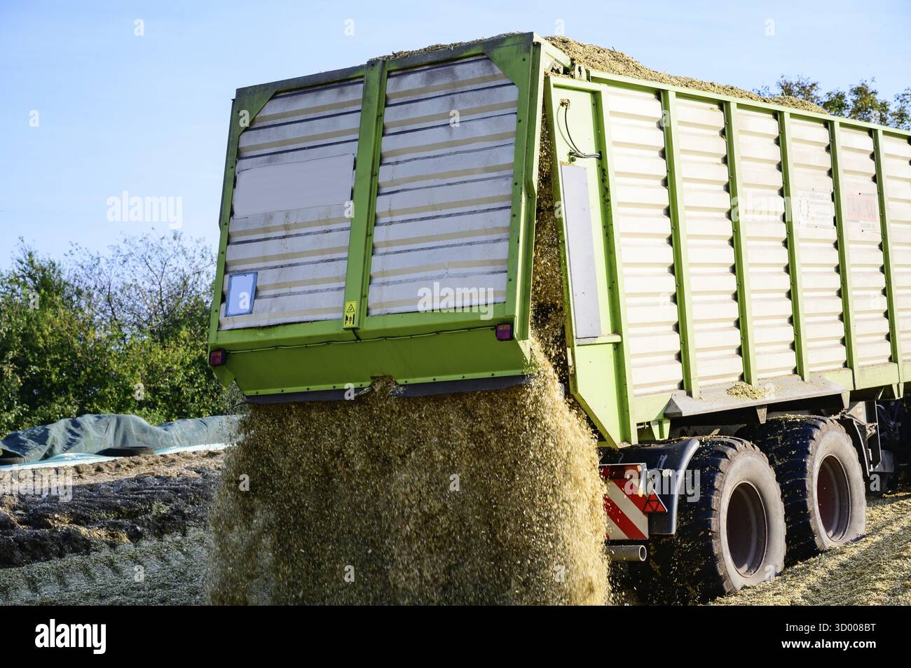 Récolte de maïs, activité agricole pour la saison de récolte récolte de maïs, activité agricole pour la saison de récolte Banque D'Images Récolte de maïs, activité agricole pour la saison de récolte récolte de maïs, activité agricole pour la saison de récolte Banque D'Images
