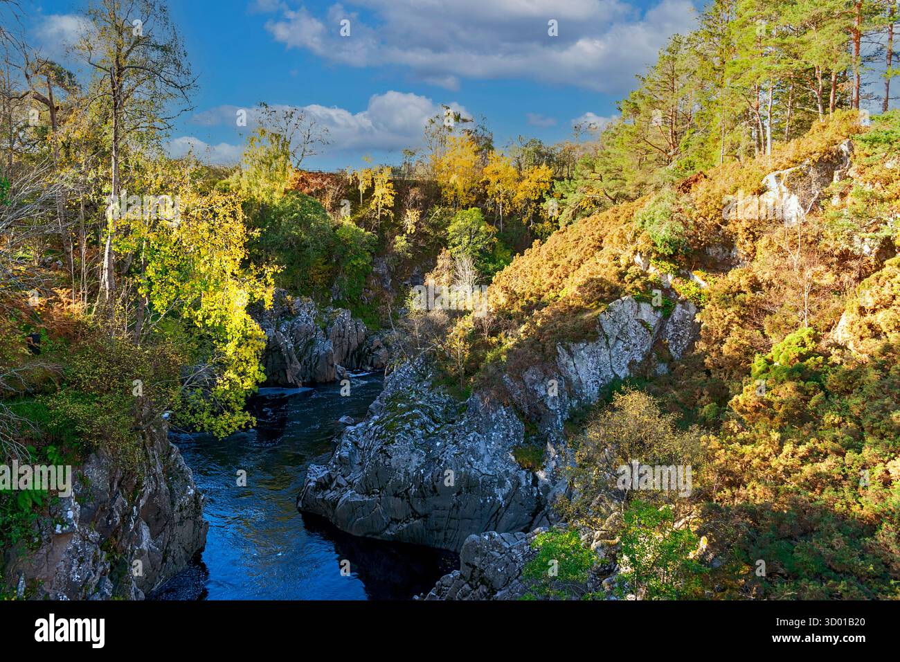 Pont Dulsie et rivière Findhorn Nairn Écosse la gorge bordée d'arbres en automne Banque D'Images