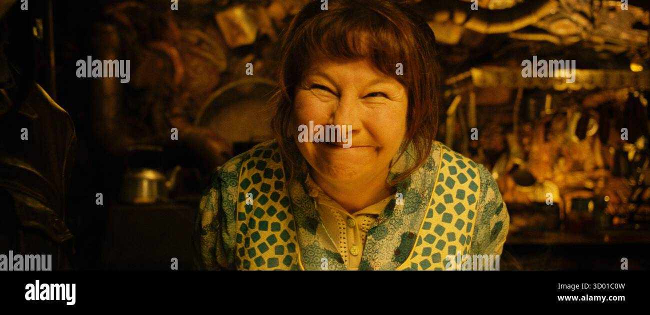 Micmacs à tire-larigot année : 2009 France réalisé par : Jean-Pierre Jeunet Yolande Moreau Banque D'Images