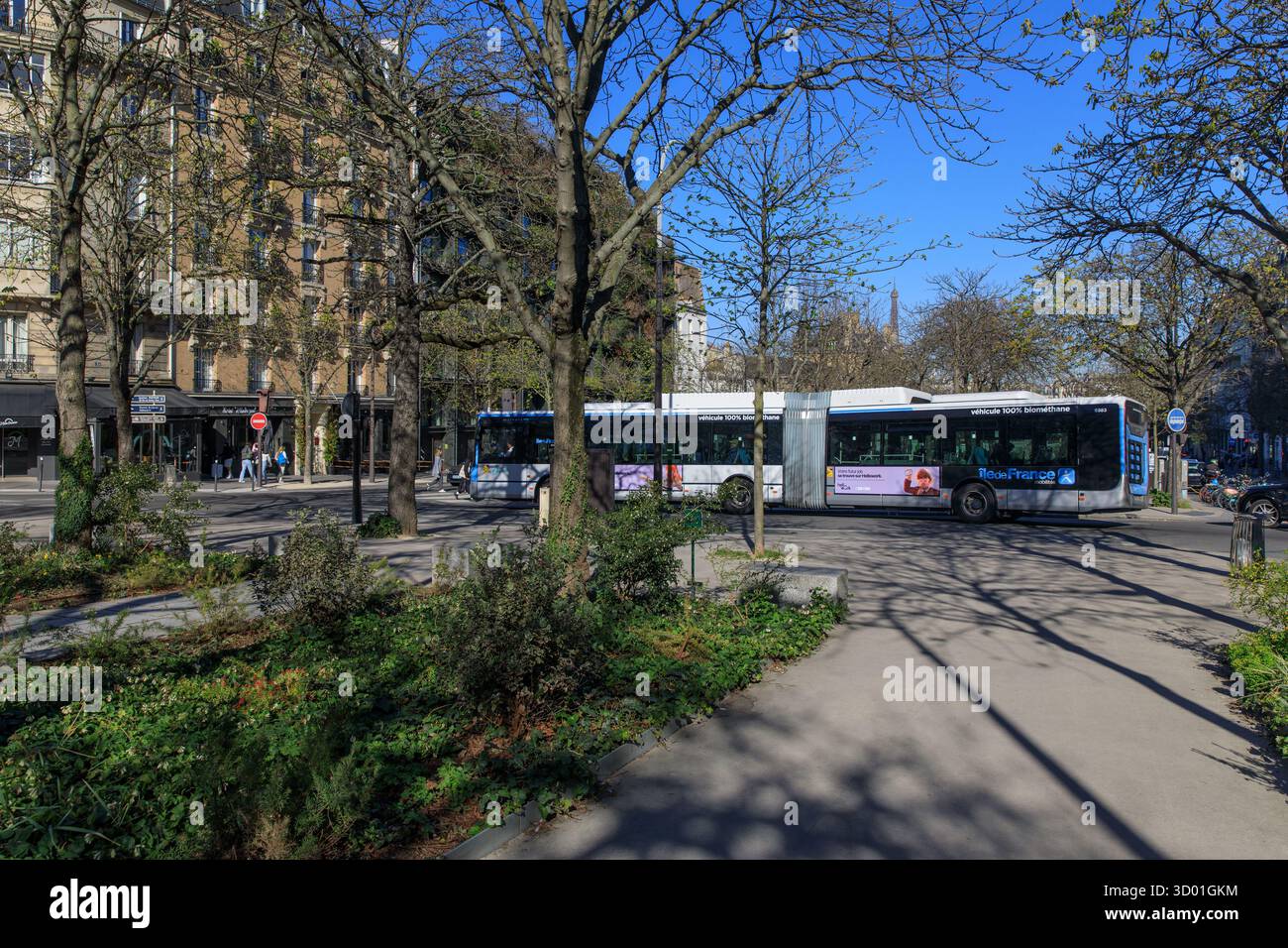 France, région Ile de France, Paris 15ème arrondissement, boulevard Pasteur, promenade plantée, bus ratp, Banque D'Images